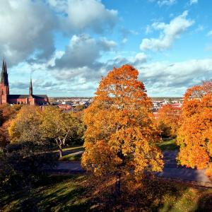 Uppsala