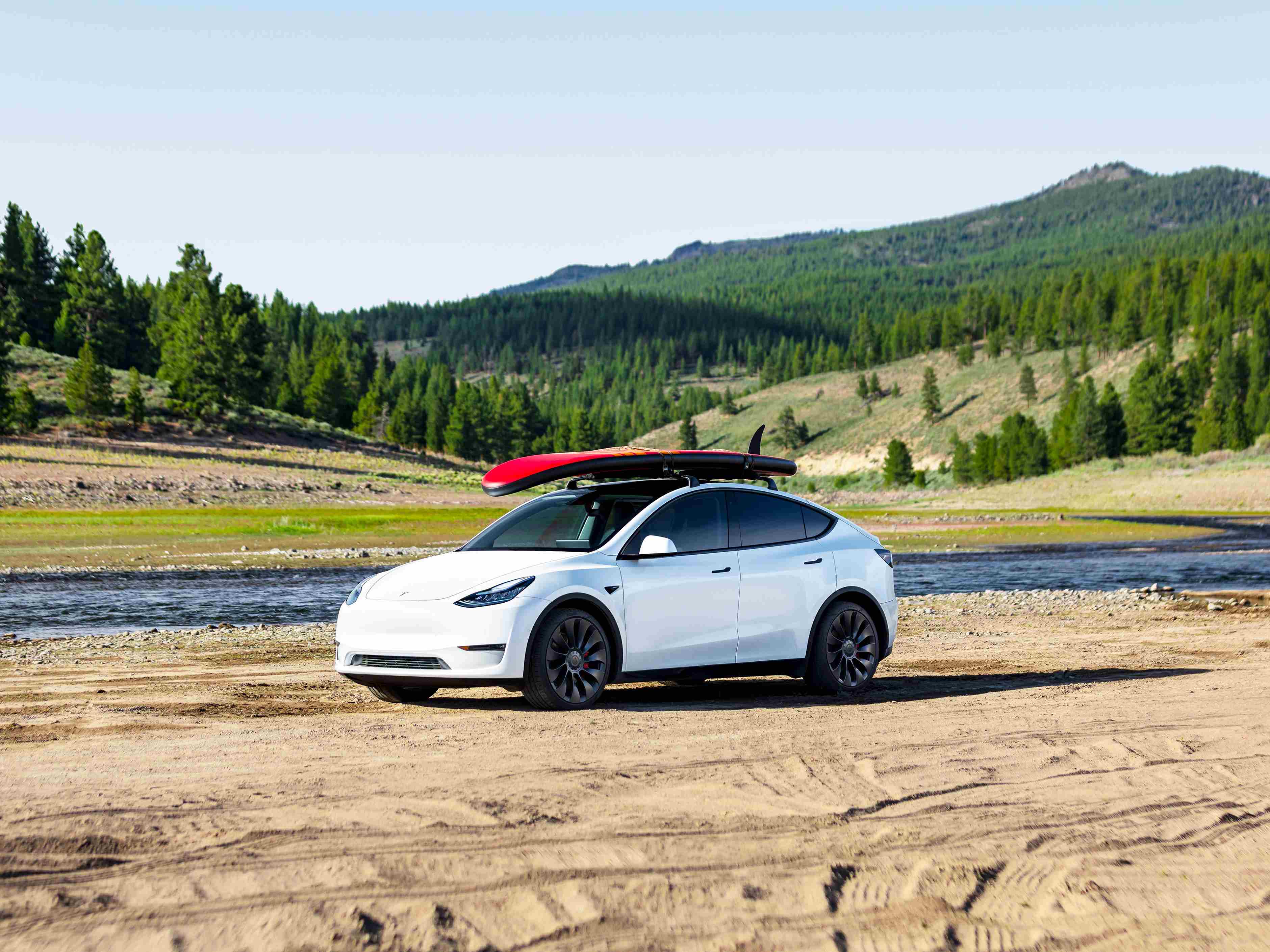 model y tesla model