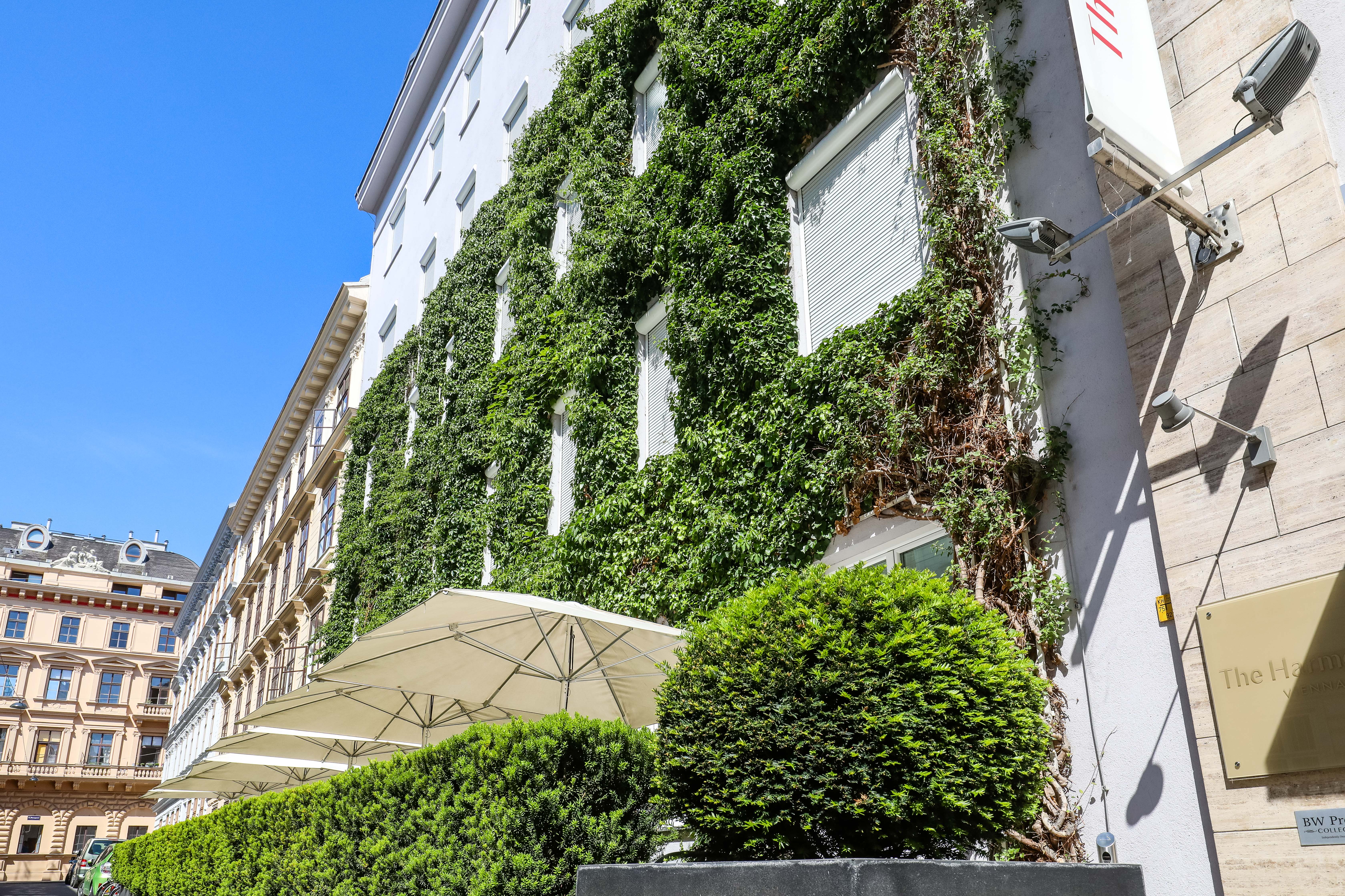 the city of Vienna green façade