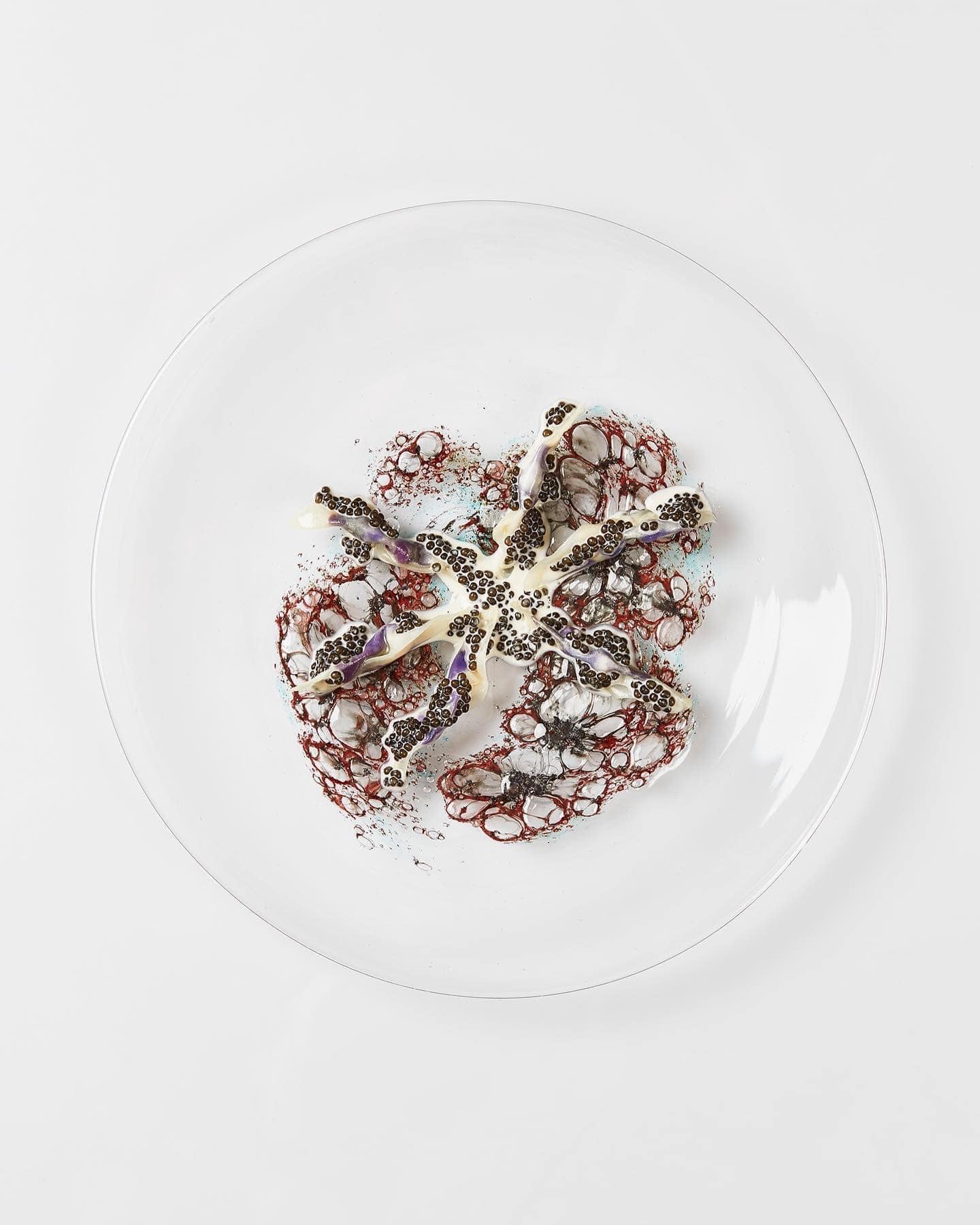 Geranium dish 1