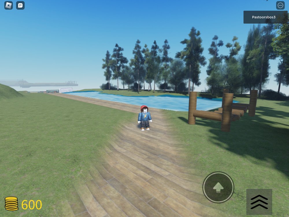 roblox park