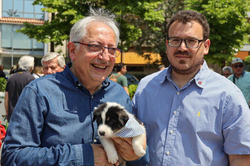 maroussi stray pets