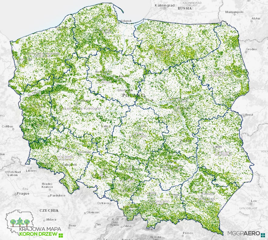 Tree map of Poland